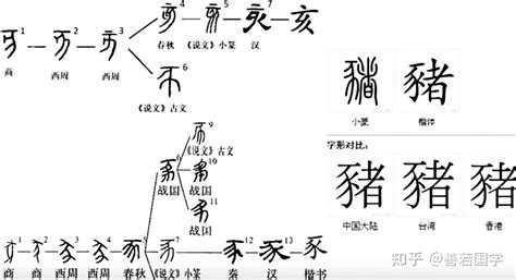 子亥|分解十二地支最深刻解读12（亥）